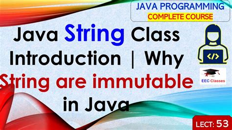 String Immutable Method