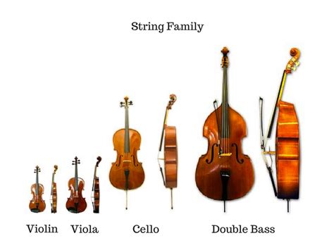 String Instrument In Orchestra