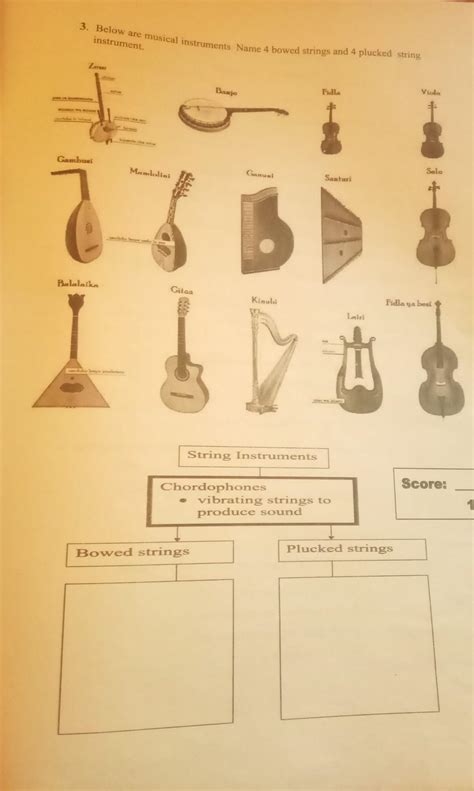 String Instruments Description Brainly