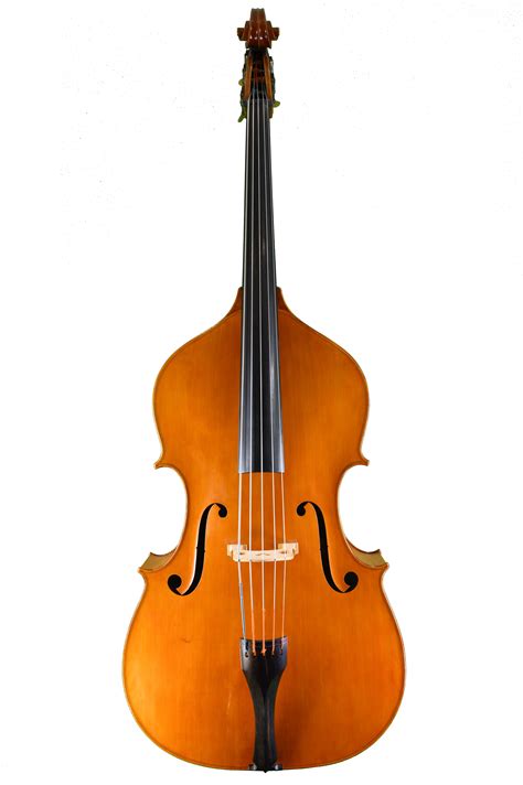 String Instruments Double Bass