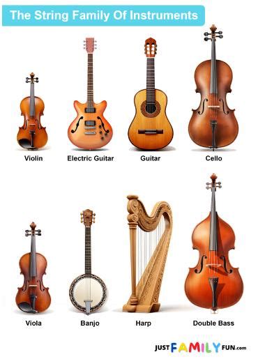 String Instruments Examples