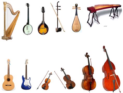 string instruments list with pictures and names