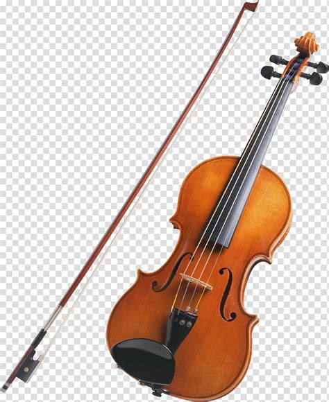 String Instruments Viola