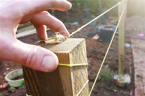 String Level Fence Post