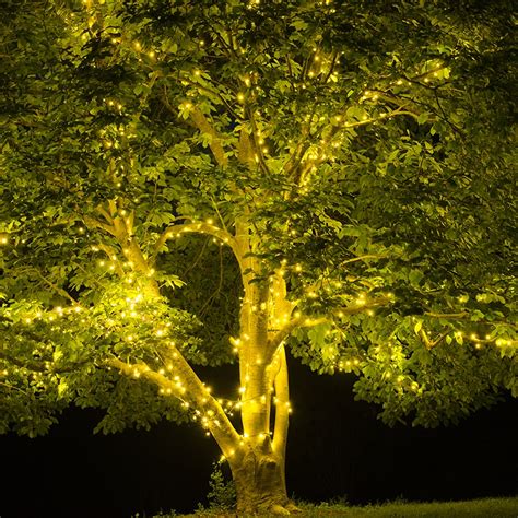 String Lights For Tree Branches