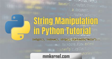 String Manipulation Examples In Python
