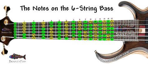 String Notes On A Bass Guitar