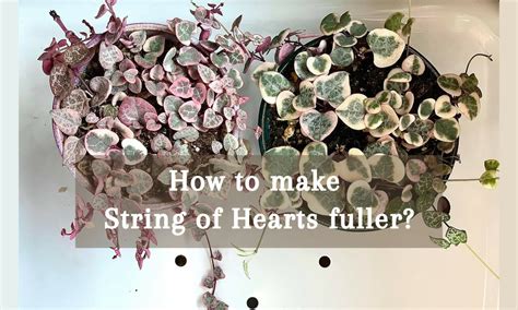 String Of Hearts How To Make Fuller
