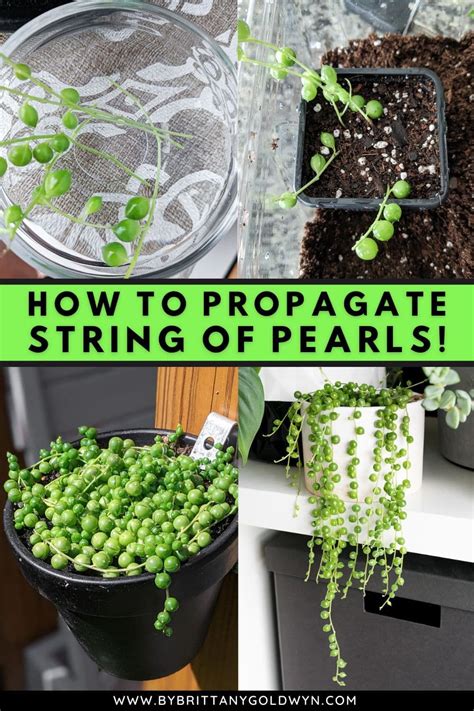 String Of Pearls Propagation In Water
