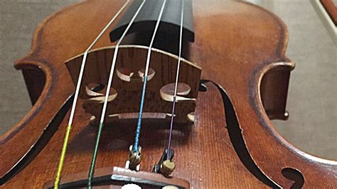String On Violin Bridge