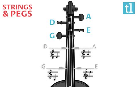 String Order Bar