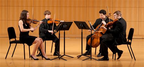 String Quartet Ensemble