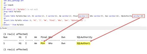 Detecting Truncated Data Errors in SQL Server with Python A StepbyStep Guide by Oscar Gil