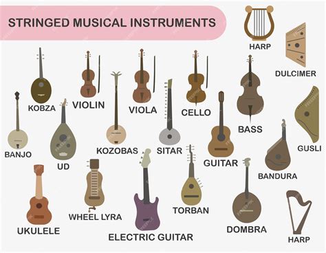 Stringed Instruments And Their Names