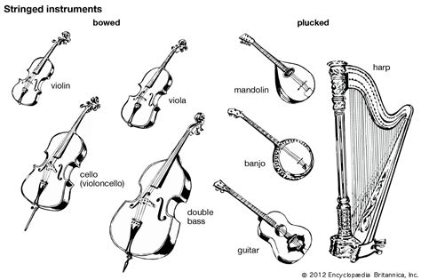 Stringed Instruments For Learning