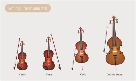 Stringed Instruments In The Orchestra
