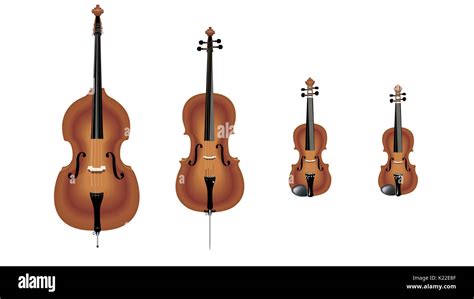 Stringed Instruments Played With A Bow