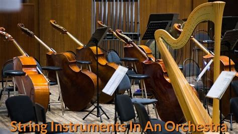 Stringed Instruments Produce Sound When Struck