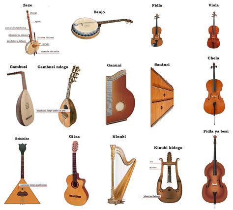 Stringed Instruments With Hollow Boxes