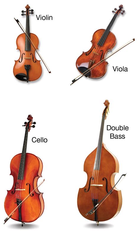 Strings Cello And Violin