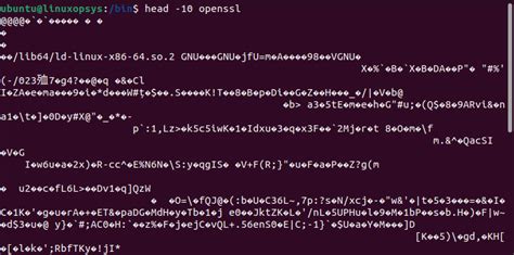 Strings Command Binary