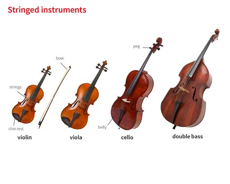 Strings Meaning Oxford
