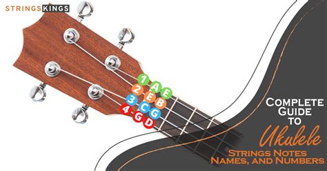 Strings Of Ukulele Notes