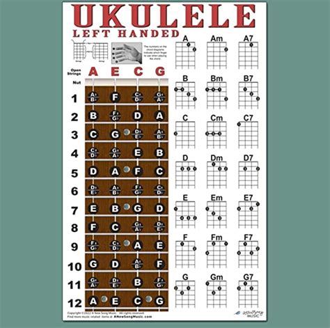 Strings On A Left Handed Ukulele