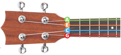 Strings On Ukulele Notes
