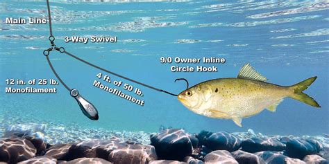 Striper Fishing Bait