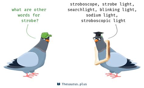 Strobe Similar Meaning