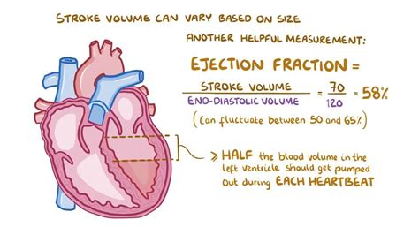 stroke volume how to calculate