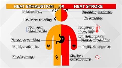 stroke vs heat stroke