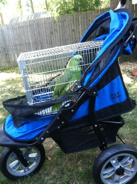 Strollers For Birds