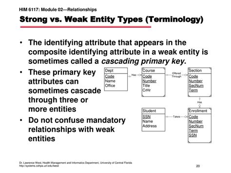 strong entity type vs weak entity type