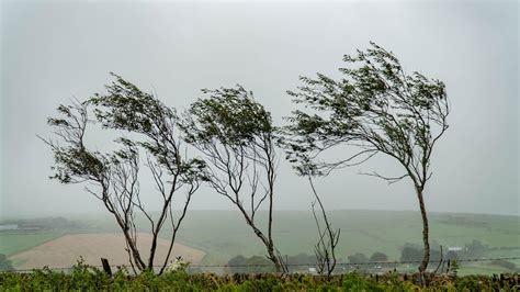 Strong Winds