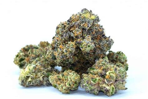 strongest strains of marijuana 2022