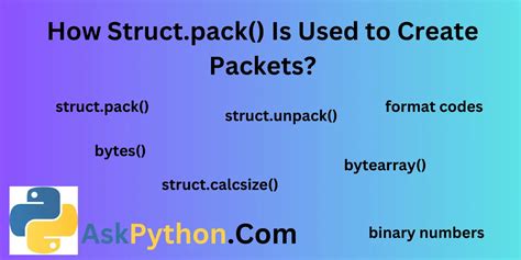 Struct Pack Example