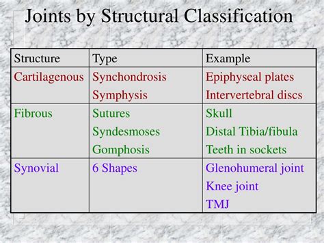Structural Classification Of Joints Examples