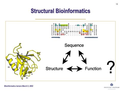 structural databases in bioinformatics