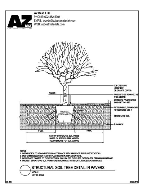Structural Soil Trees