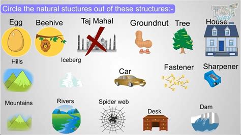 structure definition for kids