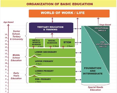 structure of cbc curriculum in kenya pdf