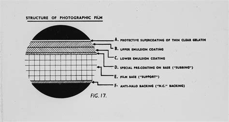 Structure Of Photographic Paper