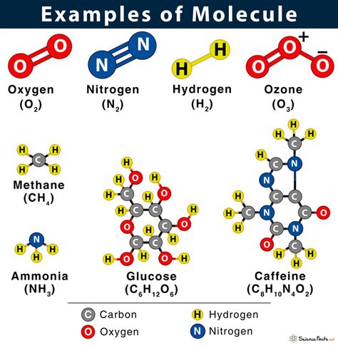structure of simple molecules
