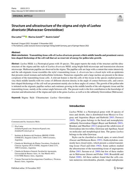 structure of stigma and style notes pdf