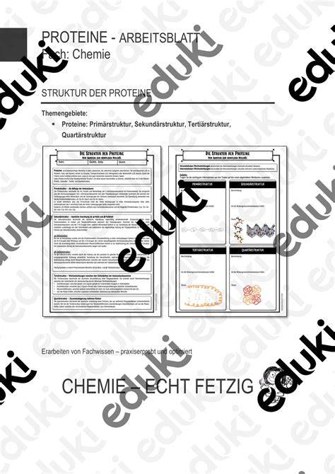Struktur der Proteine Proteine einfach erklärt LAKschool