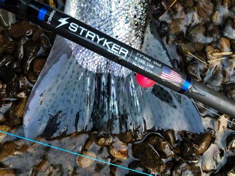 stryker fishing