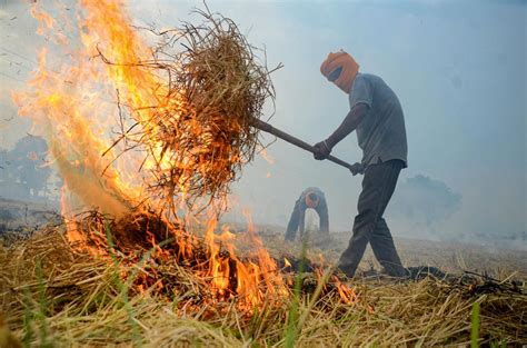 stubble burning in india research paper