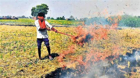 stubble burning latest news